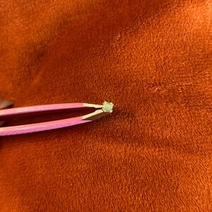 BVLA 14k gold threadless end 2.5mm chrysoprase rose cut tension prong